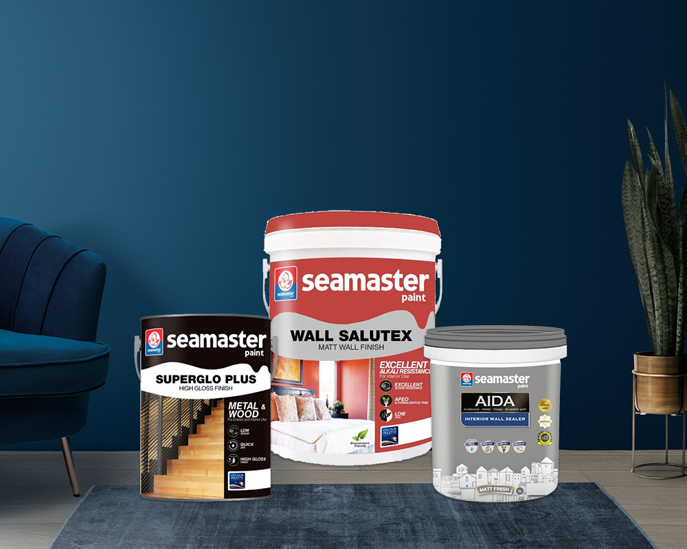 Home Paint